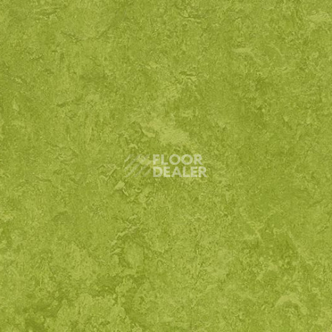 Линолеум Forbo Marmoleum Decibel on Order 324735 green фото 1 | FLOORDEALER